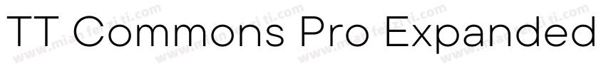 TT Commons Pro Expanded ExtraBold字体转换